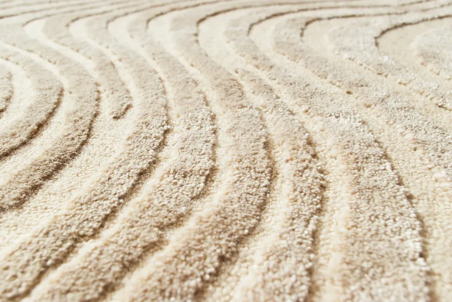 Commercial Carpet Cleaning in Orange, CA